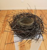 Magpie nest 2015 by Liz Walker