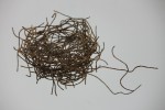 nest 2012 by Liz Walker