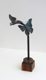 Summer nights 2026 by Liz Walker