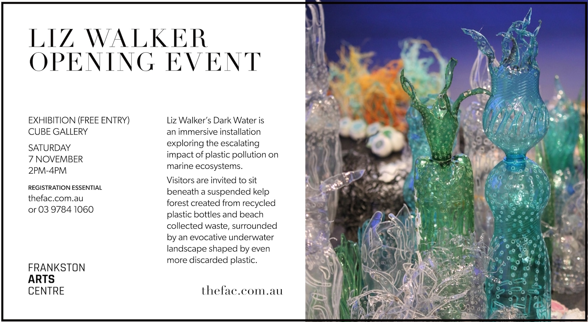 FAC 2026_Liz Walker_horiz digi_Invite copy